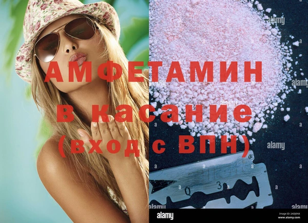 стафф Алексин