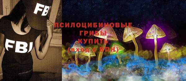 ГАЛЛЮЦИНОГЕННЫЕ ГРИБЫ Алексеевка