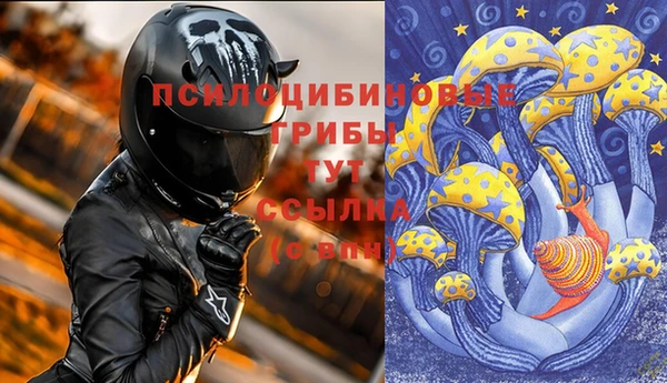 стафф Алексин
