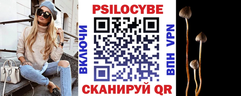 где купить наркотик  Завитинск  Галлюциногенные грибы GOLDEN TEACHER 